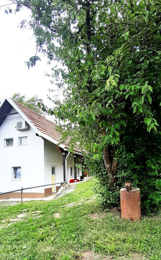 Apartman Nino Tounj Екстериор снимка